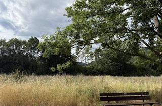 Grundstück zu kaufen in 37281 Wanfried, Bauplatz Nr. 15/12 im Wohngebiet Schützengraben