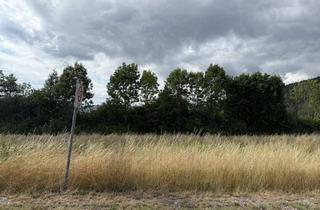 Grundstück zu kaufen in 37281 Wanfried, Bauplatz Nr. 15/11 im Wohngebiet Schützengraben