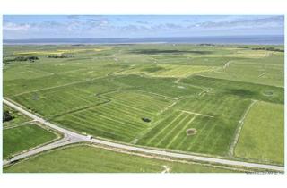 Gewerbeimmobilie kaufen in 25881 Westerhever, COURTAGEFREI: 13,62 ha arrondiertes Dauergrünland in gut erreichbarer Lage im westlichen Eiderstedt!