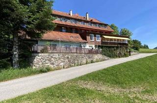 Gewerbeimmobilie kaufen in 79692 Neuenweg, Lukratives Anlageobjekt: Hotel und Berggasthof „Haldenhof“ in 79692 Kleines Wiesental