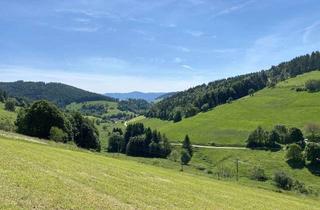 Gewerbeimmobilie kaufen in 79692 Neuenweg, Lukratives Anlageobjekt: Hotel und Berggasthof „Haldenhof“ in 79692 Kleines Wiesental