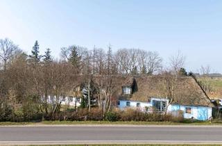 Haus kaufen in 25917 Sprakebüll, Reetdach-Anwesen mit Potenzial – Ideal für Pferdefreunde und Naturliebhaber