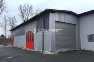 Gewerbeimmobilie mieten in 29690 Schwarmstedt, Lagerhalle mit Freifläche nahe der A7 zu vermieten!