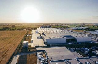 Büro zu mieten in 30938 Burgwedel, Erstbezug - Halle mit Büro - WGK III möglich!