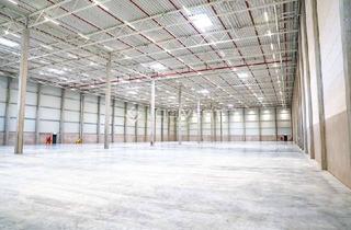 Gewerbeimmobilie mieten in 31228 Peine, Projektierter Neubau einer Lager- und Logistikhalle an der A2