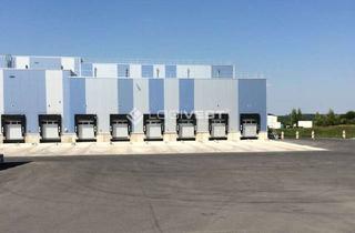 Gewerbeimmobilie mieten in 30916 Isernhagen, Projektierter Neubau einer Lager- und Logistikhalle