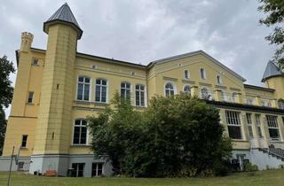 Anlageobjekt in 19067 Leezen, Charmantes Schloss in idyllischer Lage
