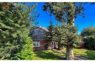 Einfamilienhaus kaufen in Kiebitzhörn 61, 27639 Wurster Nordseeküste, Wurster Nordseeküste - Pferdeliebhaber aufgepasst! Großes Einfamilienhaus mit Nebengebäuden und viel Land in Spieka