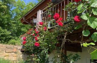Haus kaufen in 96274 Itzgrund, Itzgrund - Holzhaus als moderne Berghütte