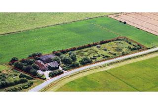 Haus kaufen in 25842 Langenhorn, Langenhorn - Ehemaliger landwirtschaftlicher Betrieb.