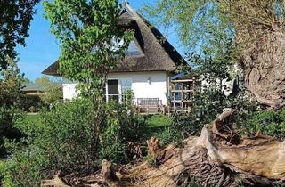 Haus kaufen in 17454 Zinnowitz, PREIS AKTUELL REDUZIERT! FELDRANDLAGE! ERDWÄRME & KAMIN & FUSSBODENHZG. & SAUNA