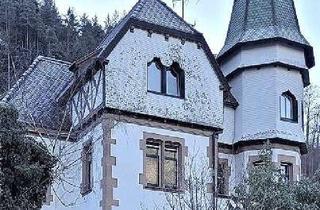Villa kaufen in 78132 Hornberg, LIEBHABER - GRÜNDERZEITVILLA inkl. 2 Bauplätze zusammen ca. 7144m²