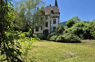 Villa kaufen in 78132 Hornberg, LIEBHABER - GRÜNDERZEITVILLA inkl. 2 Bauplätze zusammen ca. 7144m²