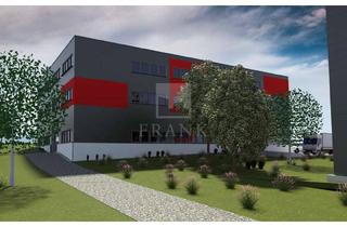 Gewerbeimmobilie mieten in 88161 Lindenberg, Neubau ab 2026 | Produktions-, Industriehalle | Lindenberg im Allgäu