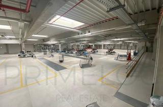 Büro zu mieten in 61267 Neu-Anspach, JETZT ANRUFEN ! ca. 5.000 qm Lager-/ Logistikfläche | Büro + Freifläche | Rampe