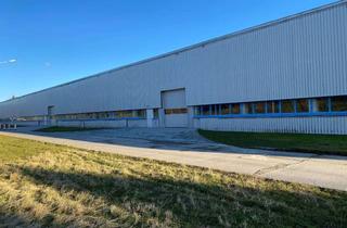 Gewerbeimmobilie mieten in Beiersdorfer Straße 43, 02708 Schönbach, Hallenfläche mit viel Potenzial – Ideal für Wachstum und Innovation!