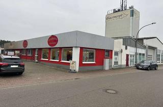 Anlageobjekt in 67454 Haßloch, 8% Mietrendite / Hallenkomplex in Haßloch