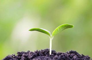 Gewerbeimmobilie kaufen in 86825 Bad Wörishofen, Großes landwirtschaftliches Grundstück mit Ställen und PV-Anlagen