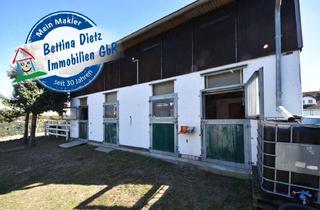 Haus kaufen in 64832 Babenhausen, DIETZ: Platz Für Ross und Reiter! Wohnhaus + Gewerbegebäude mit 6 Pferdestallungen! In Feldrandnähe!