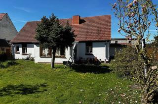 Einfamilienhaus kaufen in Trüstedt 14, 39638 Jävenitz, Einfamilienhaus mit traumhaftem Grundstück in Trüstedt