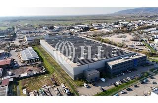 Gewerbeimmobilie mieten in Gustav-Kirchhoff-Straße 10, 67098 Bad Dürkheim, *Provisionsfrei Exklusiv im Auftrag* - 18.000 m² Logistikhalle in Bad Dürkheim *Rhein-Neckar*