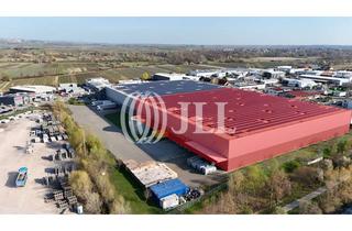 Gewerbeimmobilie mieten in Gustav-Kirchhoff-Straße 10, 67098 Bad Dürkheim, *PROVSIONSFREI!* - 9.300 m² Logistikhalle mit Regalanlage - 1 Jahr oder Langfristig