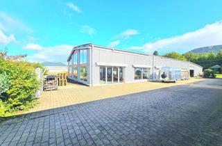 Gewerbeimmobilie kaufen in 76855 Annweiler, Großzügige Gewerbehalle - 700 m² - Parkplatz / Baureserve!