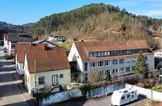 Gewerbeimmobilie kaufen in 66994 Dahn, Stilvolle Schuhfabrik mit Wohnhaus und separatem Einfamilienhaus in Dahn