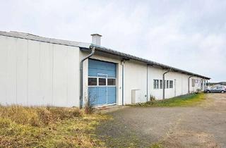 Gewerbeimmobilie kaufen in 29313 Hambühren, Direkt an der B214! Gut erreichbarer Fachmarkt für Selbstnutzer oder Kapitalanleger ...