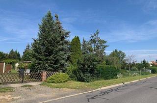 Grundstück zu kaufen in Karl-Liebknecht-Straße, 03205 Calau, Baugrundstück in 03205 Calau