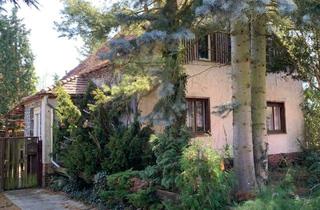 Einfamilienhaus kaufen in Weonbergstraße ^9, 03229 Altdöbern, Einfamilienhaus in Altdöbern