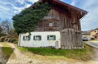 Bauernhaus kaufen in 83416 Saaldorf-Surheim, Denkmalgeschütztes Bauernhaus am Abtsdorfer See