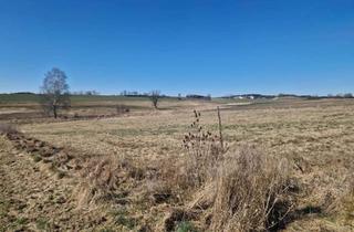 Grundstück zu kaufen in Am Reßmoos, 85235 Odelzhausen, EFH und DHH Grundstück - Neubaugebiet in schöner Südlage