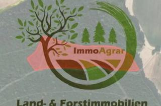 Gewerbeimmobilie kaufen in 92363 Breitenbrunn, Verkaufe 2,95 ha Wald in 92363 Kemnathen (NM)