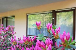Wohnung mieten in 76332 Bad Herrenalb, Sonnige TOP! 2-ZKB/ Bad Herrenalb zentral/ ca.53 m²/ Süd-Ost Terr./ Garten/ Parkplatz/ Straba/ ruhig