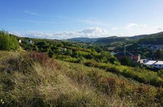 Grundstück zu kaufen in 67821 Alsenz, Von Minihaus bis Bauhausstil - auf der Sonnenseite ist vieles möglich