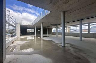 Büro zu mieten in 78247 Hilzingen, Beeindruckende, moderne Büroetage im Neubau ab Juni 2025 zu vermieten.
