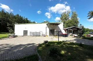 Gewerbeimmobilie kaufen in Zum Prinzendamm 23, 39638 Jävenitz, Gewerbegrundstück am Wald mit neuwertiger Produktionshalle in Jävenitz