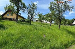 Grundstück zu kaufen in 36391 Sinntal, Voll erschlossenes Baugrundstück in ruhiger Ortsrandlage von Sinntal - Mottgers