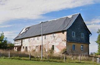 Einfamilienhaus kaufen in 07987 Mohlsdorf-Teichwolframsdorf, Mohlsdorf-Teichwolframsdorf - Einfamilienhaus freistehend (nähe Greiz)