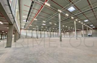 Büro zu mieten in 55232 Alzey, JETZT ZUSCHLAGEN | Lager-/ Logistik zu vermieten | ca. 20.000 m² Lagerfläche | 2.000 m² Büro