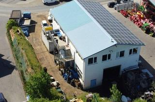Gewerbeimmobilie kaufen in 64401 Groß-Bieberau, Werkhalle in Groß-Bierau