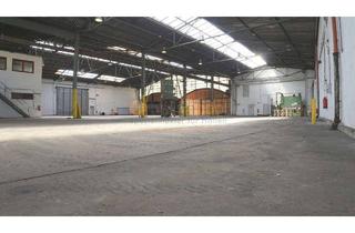 Büro zu mieten in 56626 Andernach, Lagerhalle, ca. 1.500 m² mit Lageristenbüro, PROVISIONSFREI, in 56626 Andernach zu vermieten
