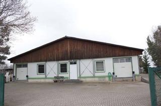 Gewerbeimmobilie kaufen in Am Langenberg, 06502 Westerhausen, Vom Wildbetrieb zum Cold Storage Hub–vielseitig nutzbar-Kühl-u. Logistikstandort A36–betriebsbereit!