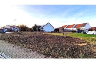 Grundstück zu kaufen in 75417 Mühlacker, Beliebte, ruhige Lage: Top Bauplatz für freistehendes EFH/ DH