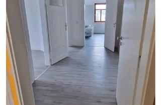 Wohnung mieten in Schandauer Str., 01277 Dresden, Helle 2-Zimmer DG-Wohnung