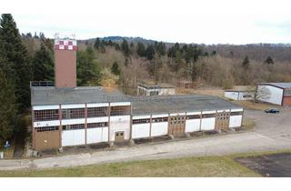 Gewerbeimmobilie kaufen in 55765 Birkenfeld, Vielseitig nutzbares Gewerbegrundstück (5.700 m²) + Halle (992 m²) 55765 Birkenfeld, PROVISIONSFREI