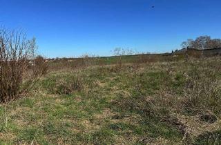 Grundstück zu kaufen in Ahrensfelder Chaussee, 16356 Ahrensfelde, Ihr Eigenheim in Eiche – mit ILB-Fördervorteil!