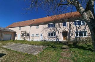 Grundstück zu kaufen in Steinbergstr. 50, 85088 Vohburg, Großes attraktives Grundstück in der Ortsmitte von Menning (Vohburg), ca. 2.600m²
