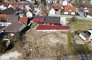 Grundstück zu kaufen in 89129 Langenau, Baugrundstück in der Gemeinde Albeck